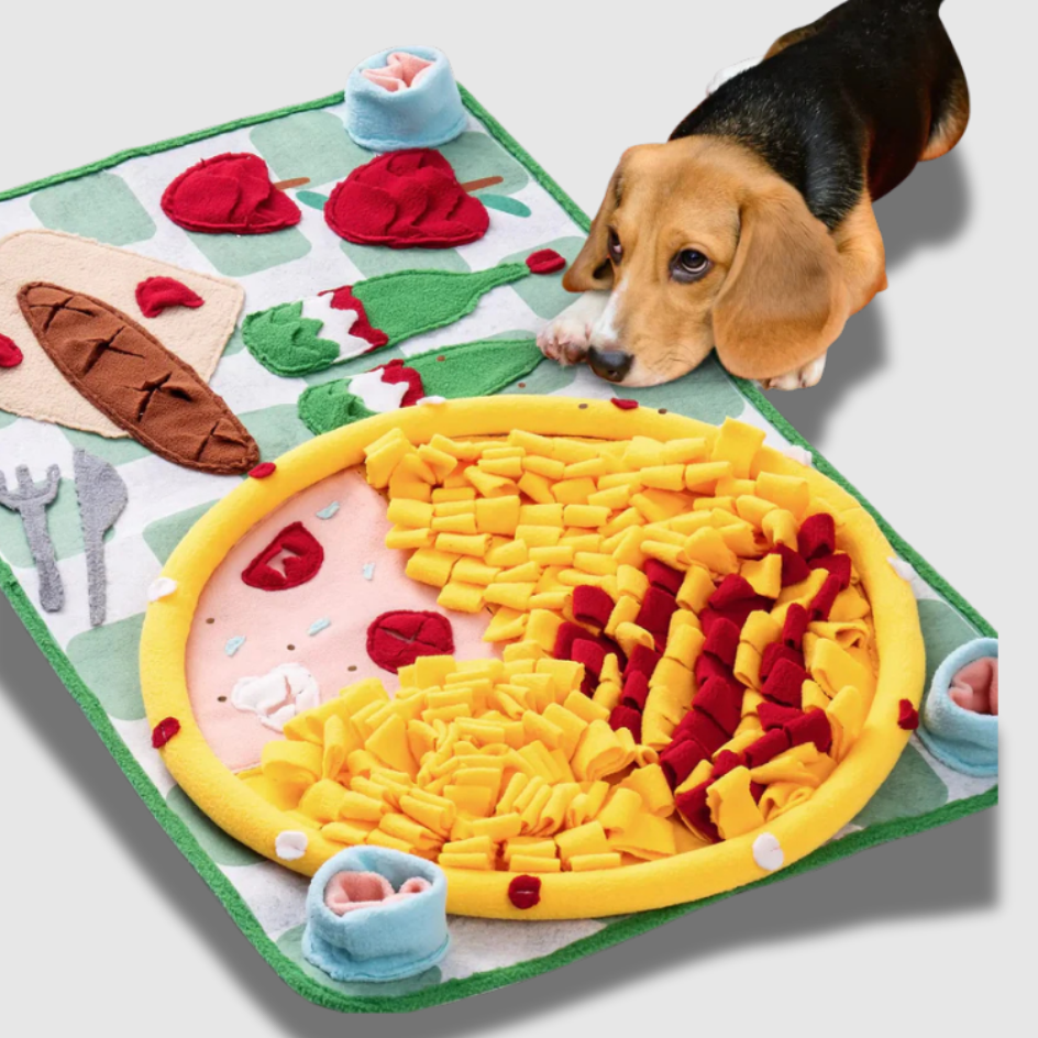 PawPicnic™ Snuffle Mat – Interactive Foraging & Slow-Feeding Mat for Dogs (Medium)