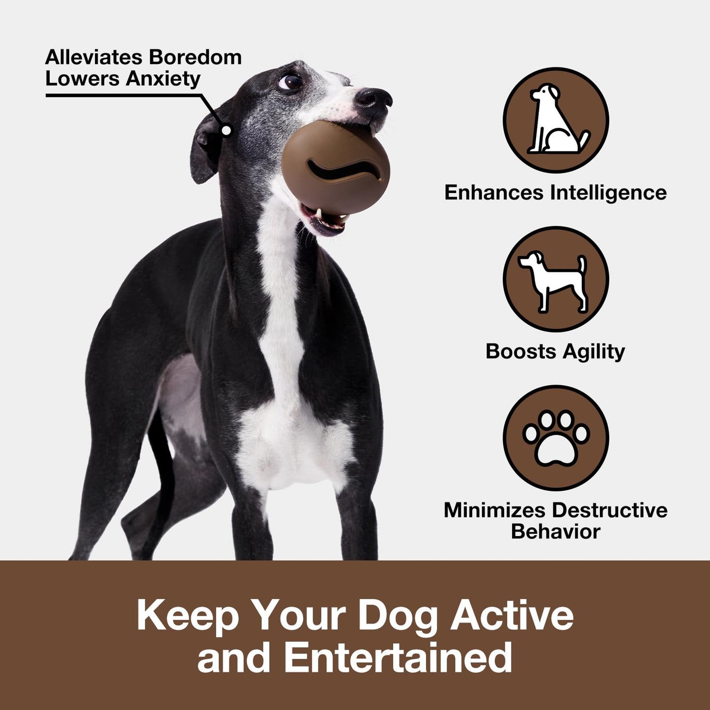 VETRESKA™ SnoopBall – Durable Treat & IQ Training Puzzle Toy for Small Dogs