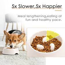 IRIS USA™ SmartBowl – 2-Cup Slow Feeder for Small & Short-Snouted Dogs (Beige/Black)