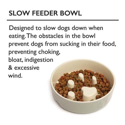 IRIS USA™ SmartBowl – 2-Cup Slow Feeder for Small & Short-Snouted Dogs (Beige/Black)